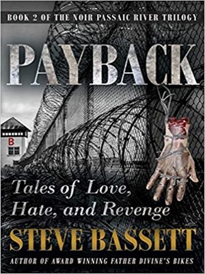 cover image of Payback